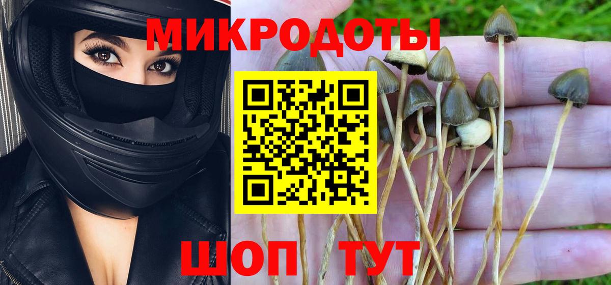 Галлюциногенные грибы прущие грибы Улан-Удэ