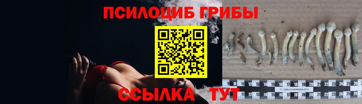 Улан-Удэ  Галлюциногенные грибы прущие грибы  Вход с VPN 